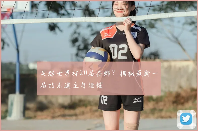 足球世界杯20届在哪？揭秘最新一届的东道主与场馆