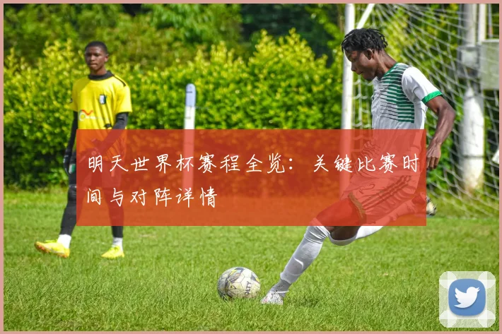 明天世界杯赛程全览：关键比赛时间与对阵详情