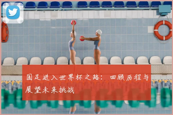 国足进入世界杯之路：回顾历程与展望未来挑战