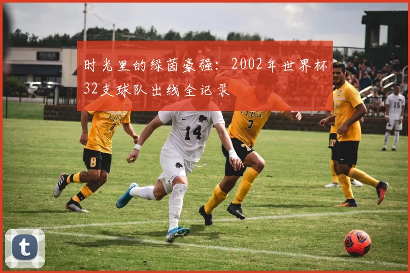 时光里的绿茵豪强：2002年世界杯32支球队出线全记录