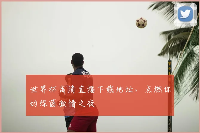 世界杯高清直播下载地址，点燃你的绿茵激情之夜