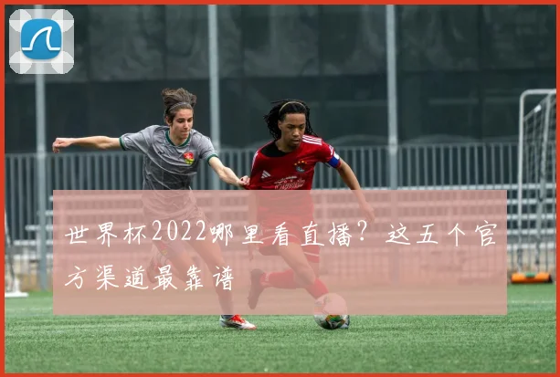 世界杯2022哪里看直播？这五个官方渠道最靠谱