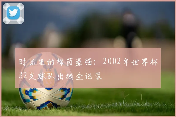 时光里的绿茵豪强：2002年世界杯32支球队出线全记录