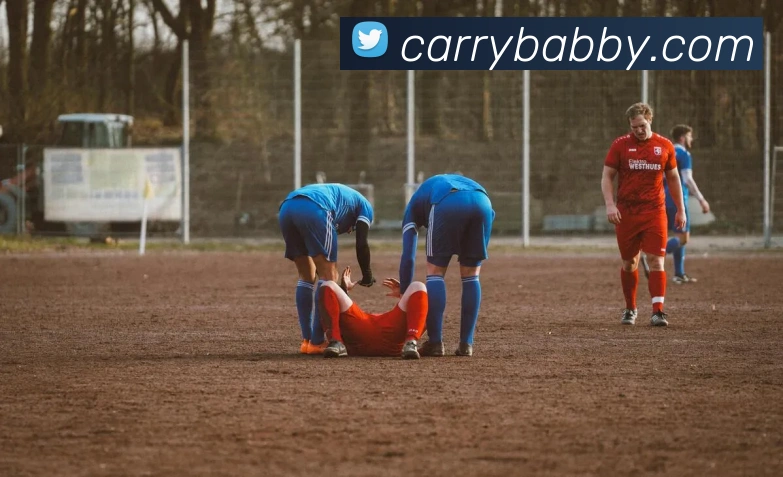 巅峰国际app官方正版服务体系